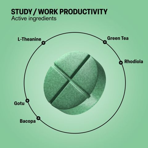 500mg Study Work Productivity Tablets - Lime Mint - Mood Tablets - Thumbnail 5