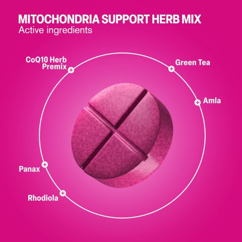 500mg Mitochondria Support Herb Mix Tablets - Lemon Berry - Mood Tablets - Thumbnail 5