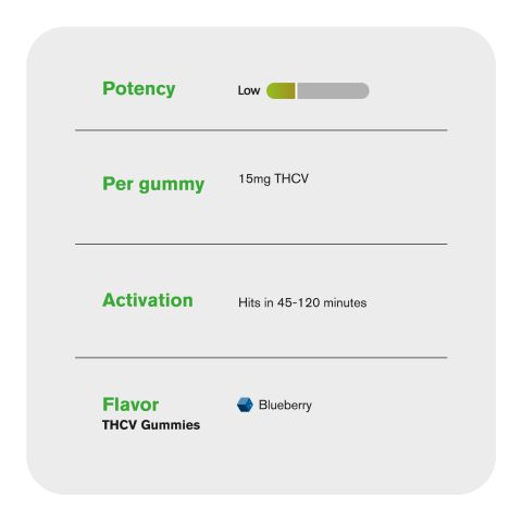 THCV Gummies - 15mg - Blueberry - Fresh - Thumbnail 5