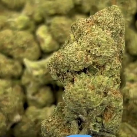 Cadillac Rainbow Flower - Hybrid - THCA - Video Thumbnail 1