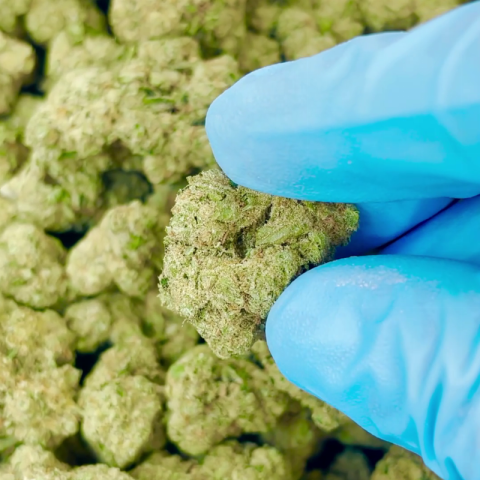 Banana Flower - Hybrid - THCA - Video Thumbnail 1