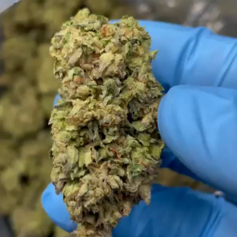 Blue Zlushie Flower - Hybrid - THCA - Video Thumbnail 1