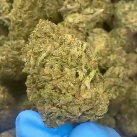 Cotton Candy Flower - Hybrid - THCA - Video Thumbnail 1