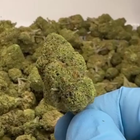 Sundae Driver Flower - Hybrid - THCA - Video Thumbnail 1