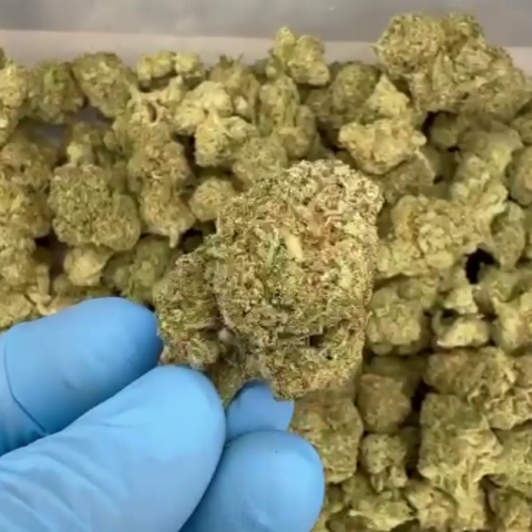 Fiji Mint Flower - Hybrid - THCA - Video Thumbnail 1