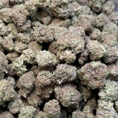 GG4 Flower - Hybrid - THCA - Video Thumbnail 1