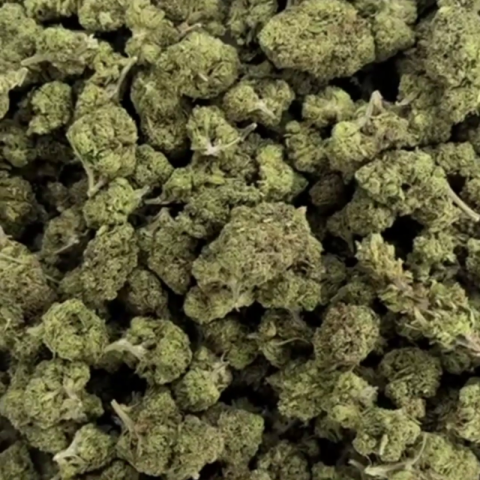 Godfather OG Flower - THCA - Hybrid - Video Thumbnail 1