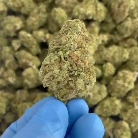 Grape Runtz Flower - Hybrid - THCA - Video Thumbnail 1