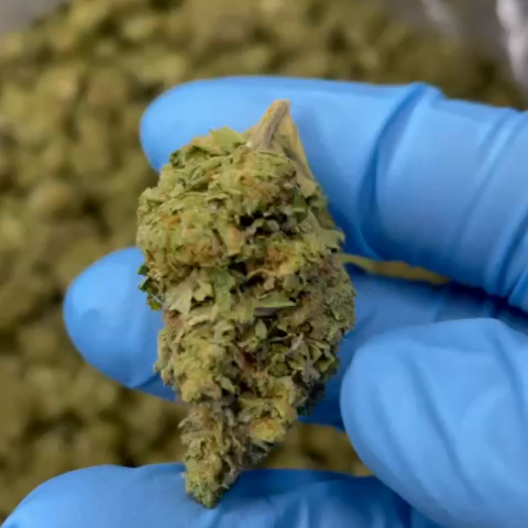 Limoncello Runtz Flower - Sativa - THCA - Video Thumbnail 1