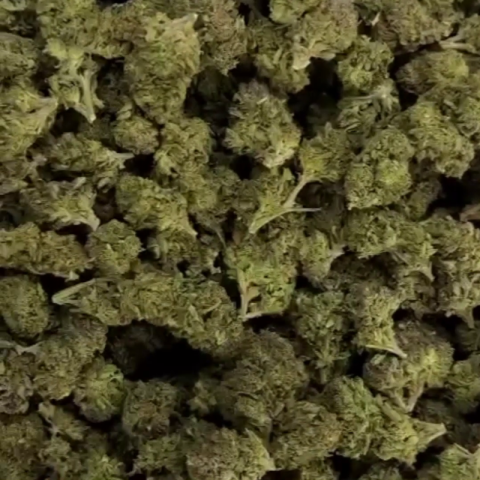 Lucky Flower - THCA - Indica - Video Thumbnail 1