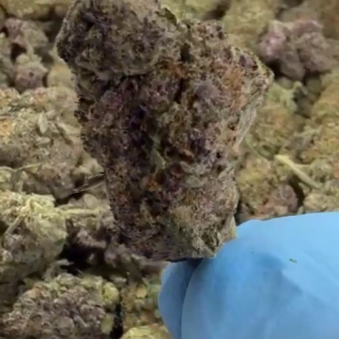 Melonatta Flower - Hybrid - THCA - Video Thumbnail 1