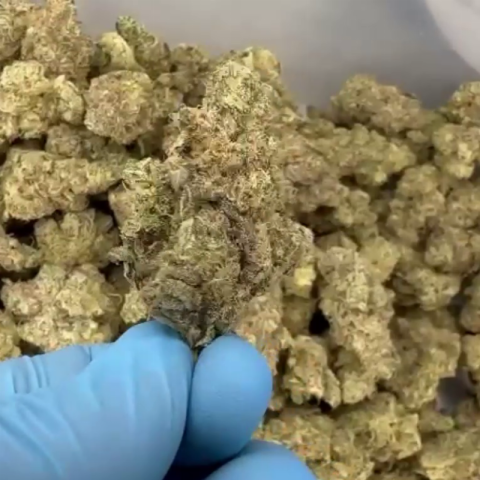 Peanut Butter Breath Flower - Hybrid - THCA - Video Thumbnail 1