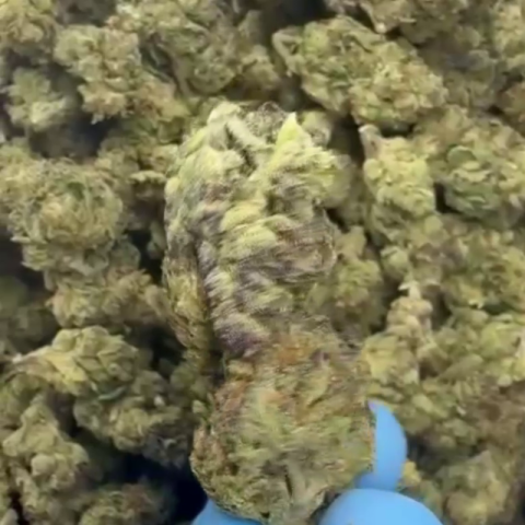 Silver Haze Flower - Sativa - THCA - Video Thumbnail 1