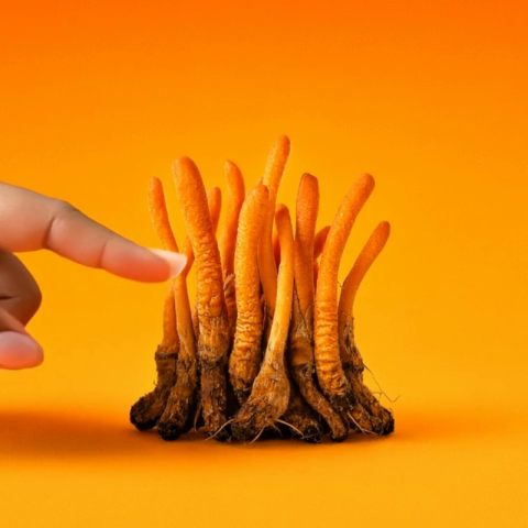 D8, Mushroom Gummies - 25mg - Shrooms - Video Thumbnail 1