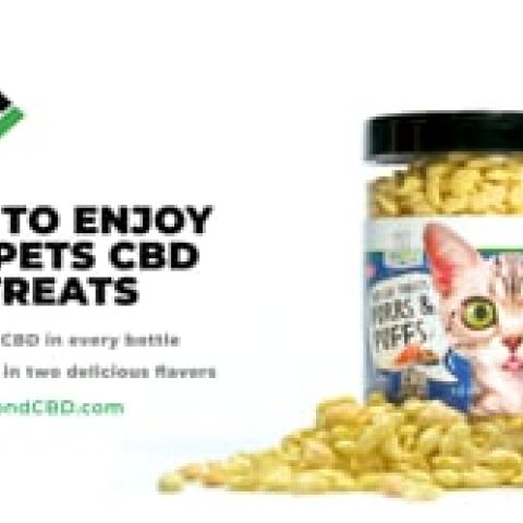 MediPets CBD Cat Treats - Cat Cafe´ Tartar Control - 200mg - Video Thumbnail 1