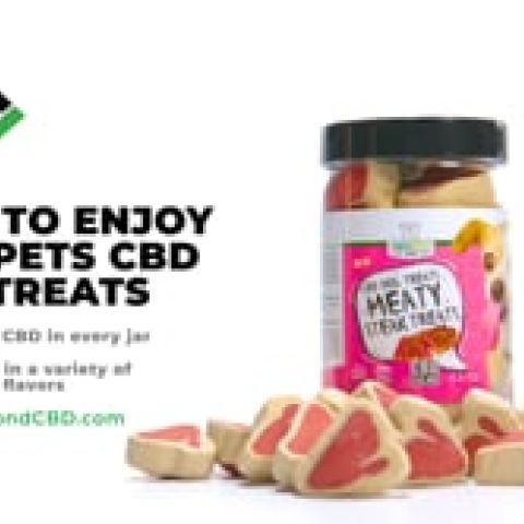 MediPets CBD Dog Treats - Wavy Bacon & Cheese Bites - 100mg - Video Thumbnail 1