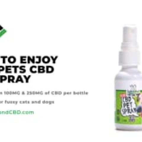 MediPets CBD - Pet Spray - 100mg - Video Thumbnail 1