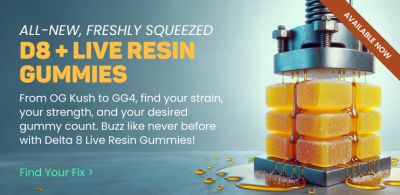 Collection - D8 + Live Resin