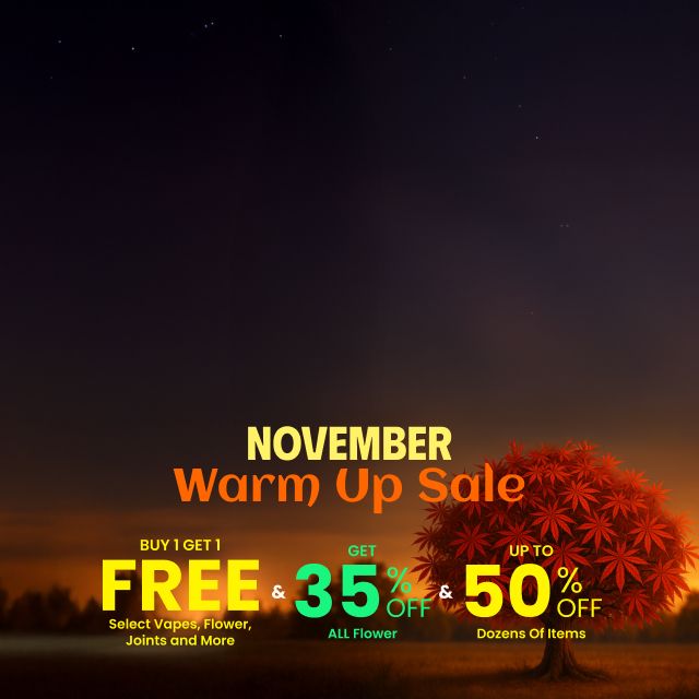 Leaderboard - November