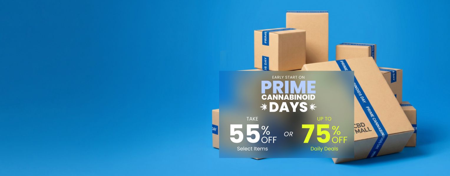 Homepage - Leaderboard - Prime Days