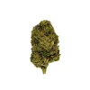 Oreoz Flower - Hybrid - THCA