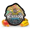 Magic Mushroom Gummies - 2mg - Juicy Mango - Tre House