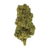 Black Cherry Gelato Flower - Indica - THCA