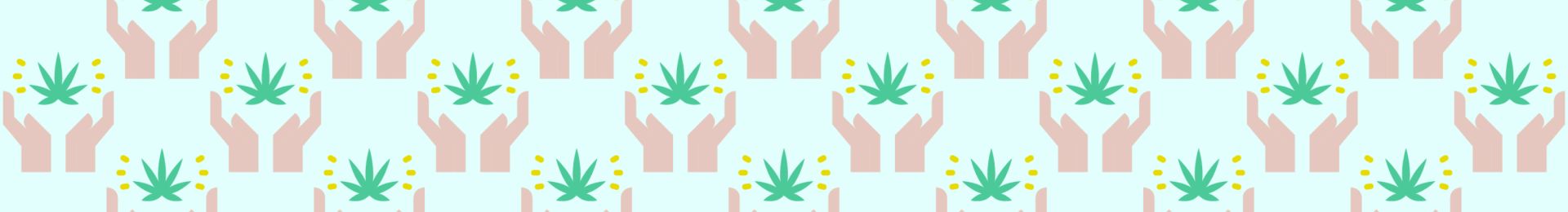 God's Gift Strain