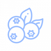 Beyond Blueberry Strain Icon