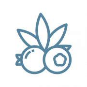 Blueberry OG Strain Icon