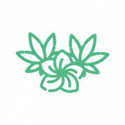 Maui Wowie Strain Icon