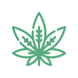 Pure Michigan Strain