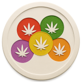 Zkittlez Strain