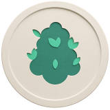 Runtz Strain