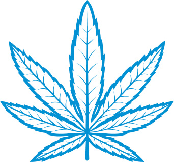 All Strains