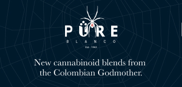 Collection - Pure Blanco