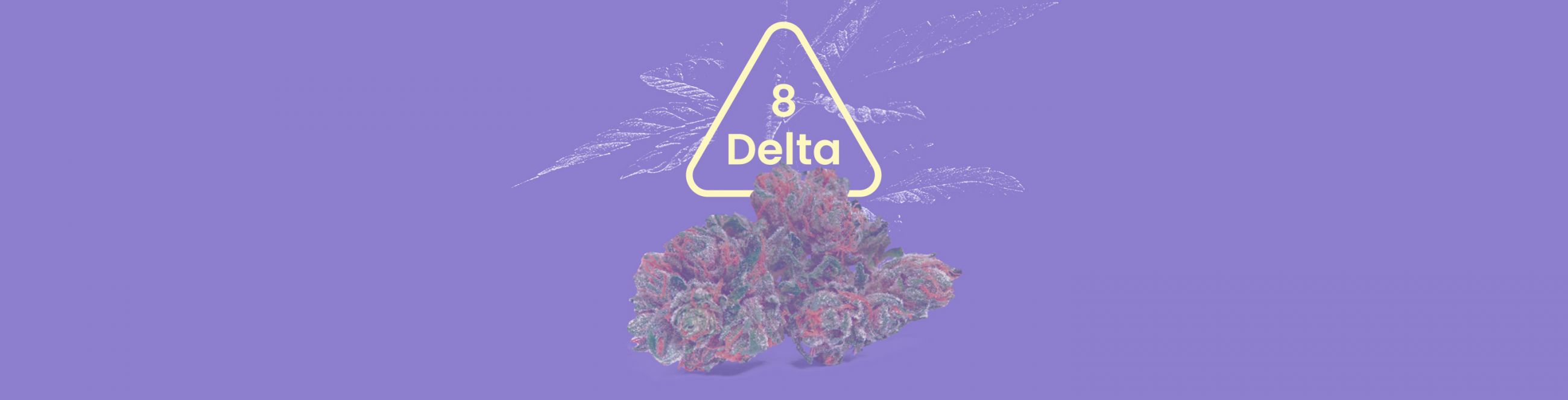 Delta 8 THC is a psychotropic compound found naturally in the Cannabis sativa plant. What is delta 8 and does it get you high? Is this cannabinoid safe? 